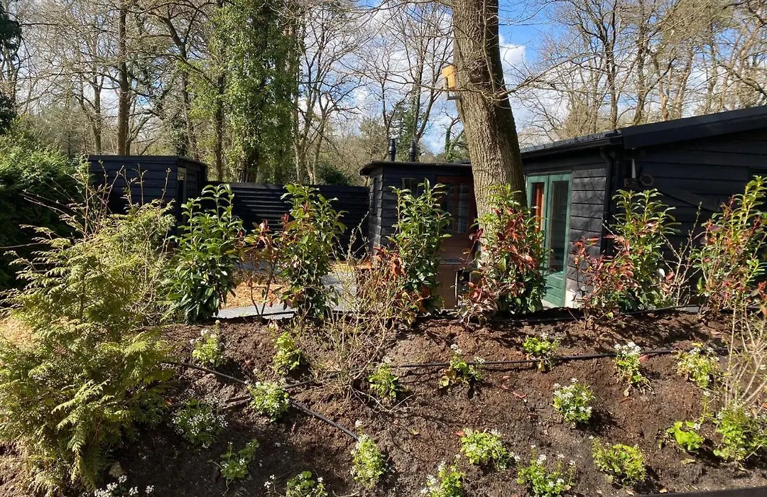 De Veluwse bos Lodge-1