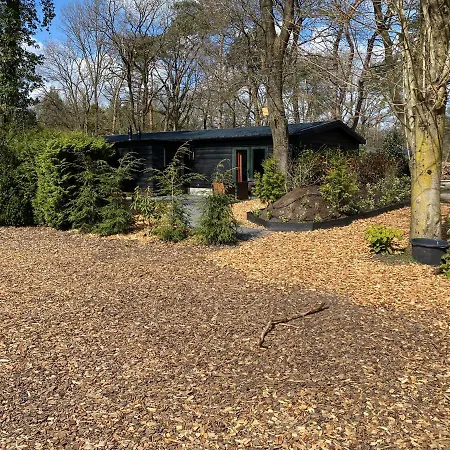 De Veluwse bos Lodge-3